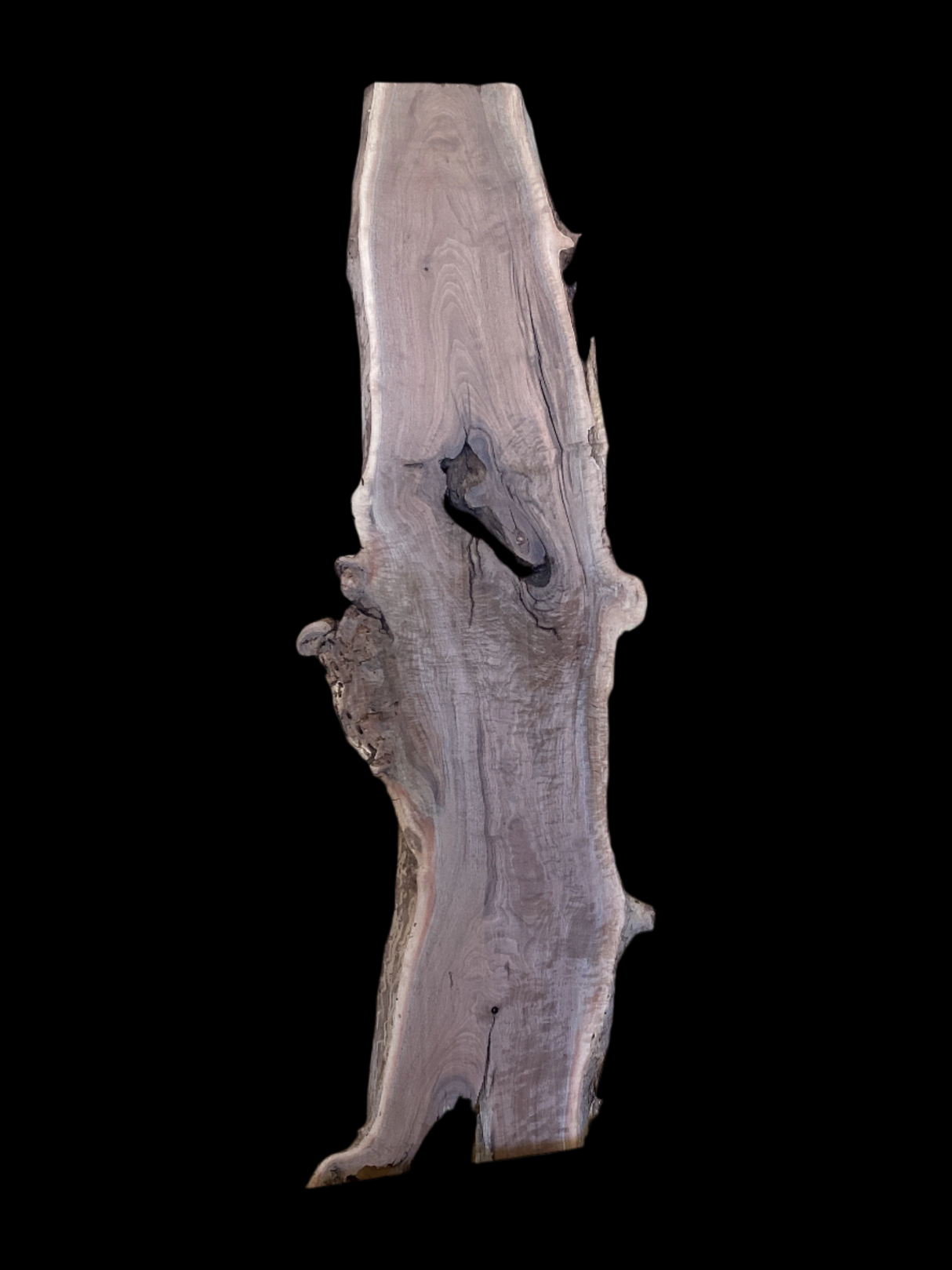 A walnut wood slab placed on a black background showing the length.