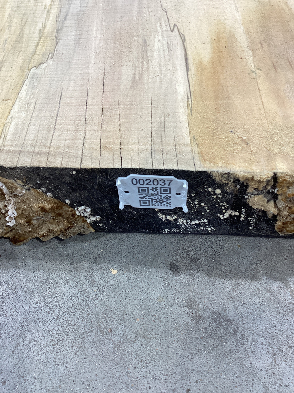 QR label attached to the edge of a silver maple slab.