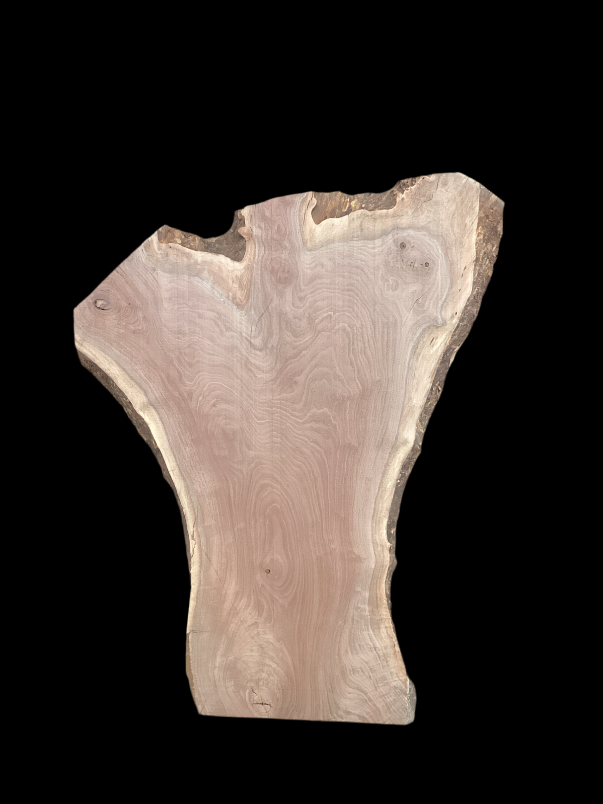 Walnut Slab 2195