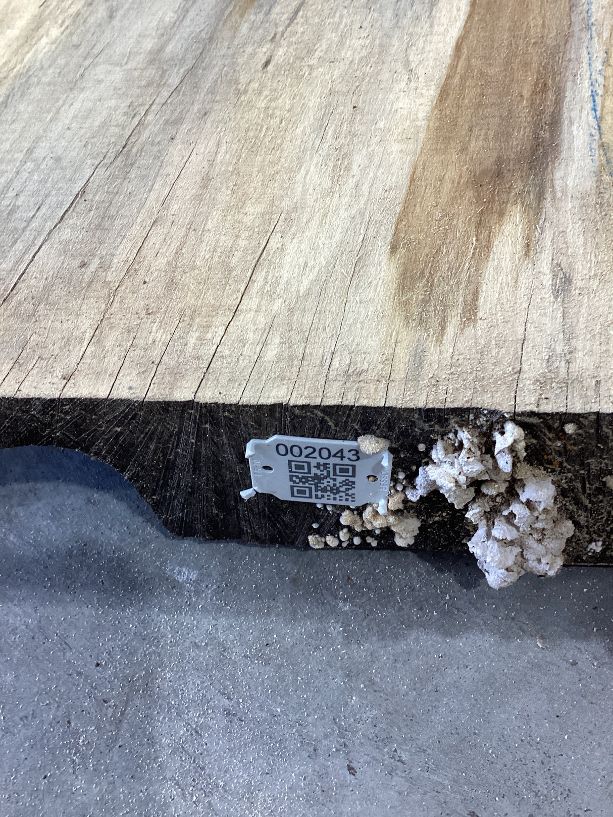 QR label attached to the edge of a Silver Maple slab.