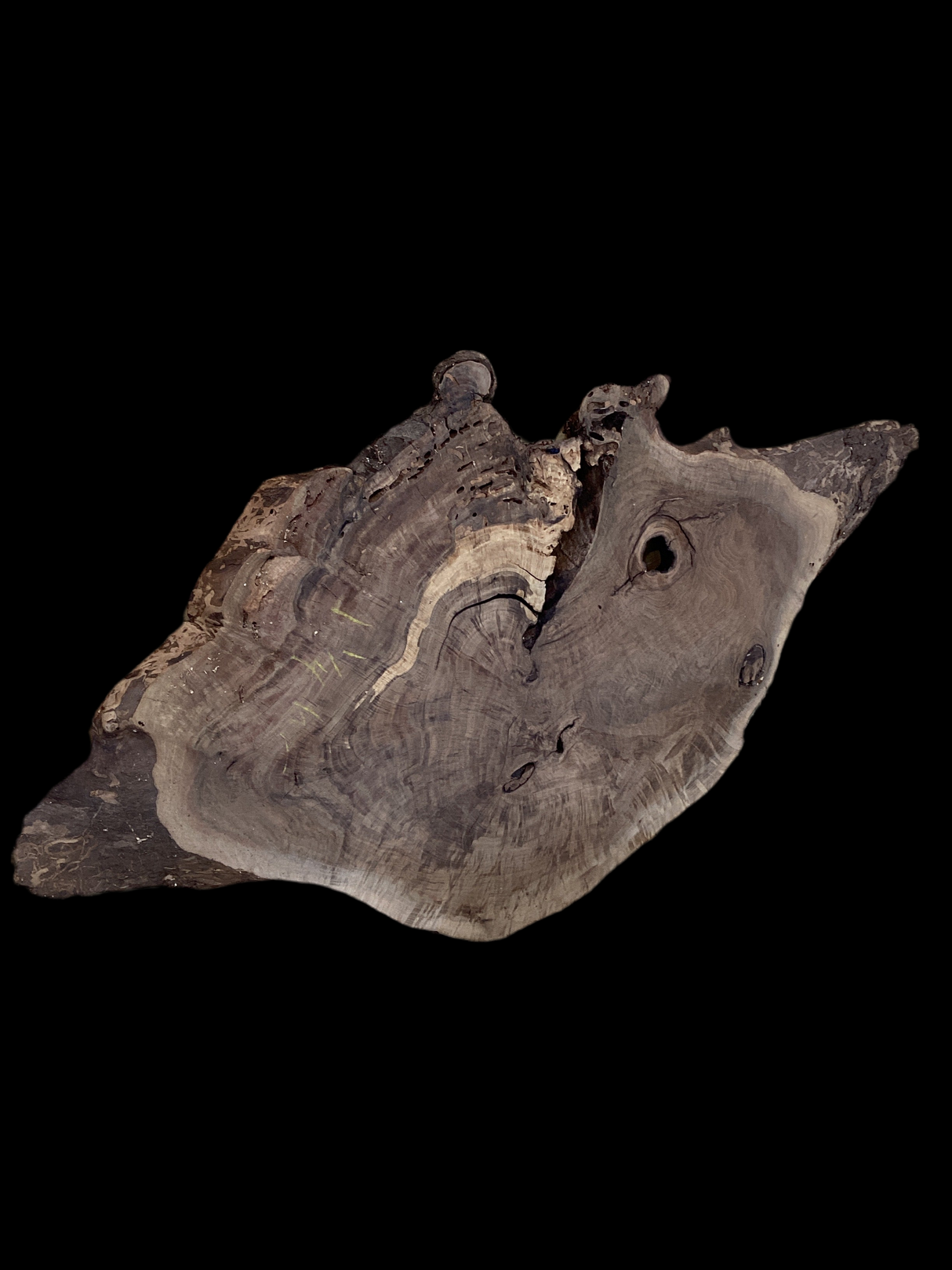 A walnut slab on a black background.