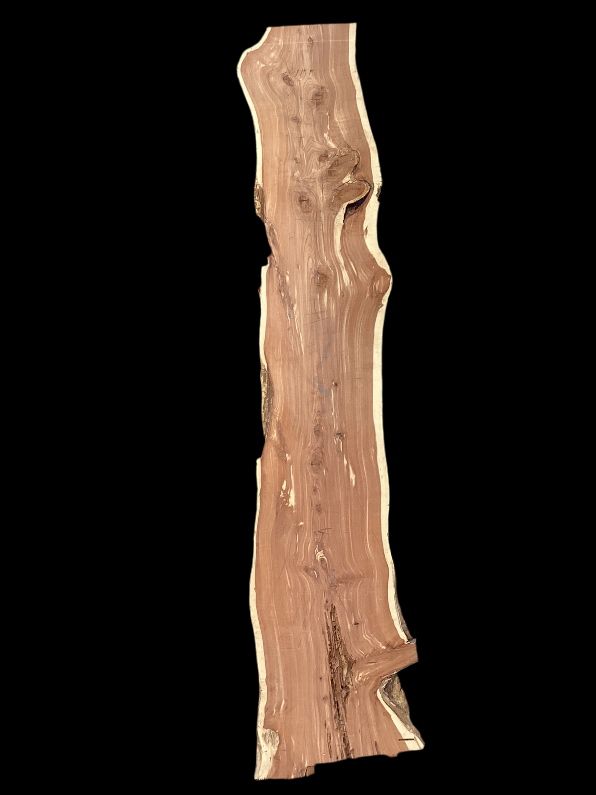 A large, irregularly shaped piece of aromatic eastern red cedar wood with visible knots and natural color patterns.