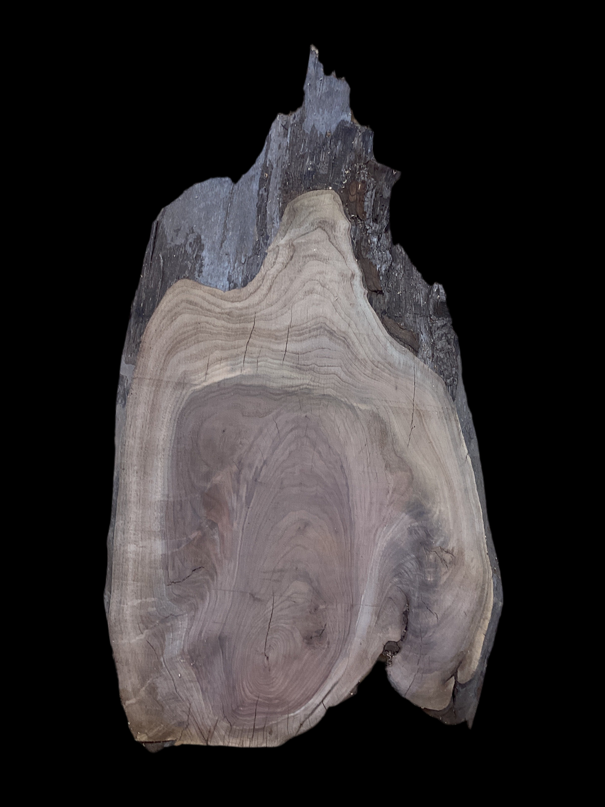 Oblong walnut wood slab on a black background.