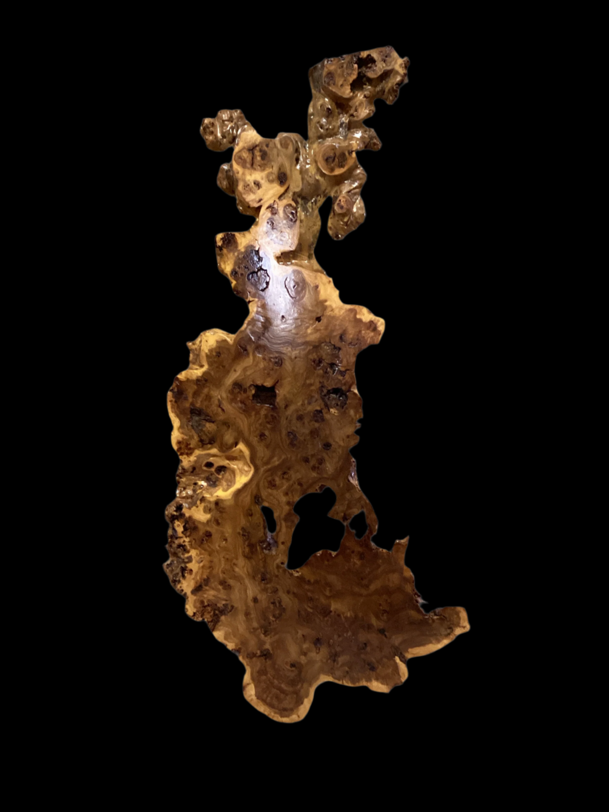 A sculpture of a golden elm burl, with a textured and irregular surface, displayed on a black background.