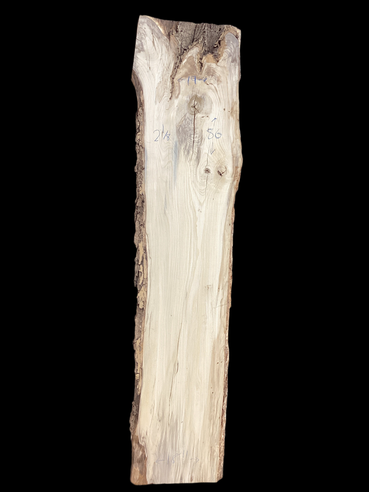 A single slab of Hackberry wood with visible grain and some knots with a black background.