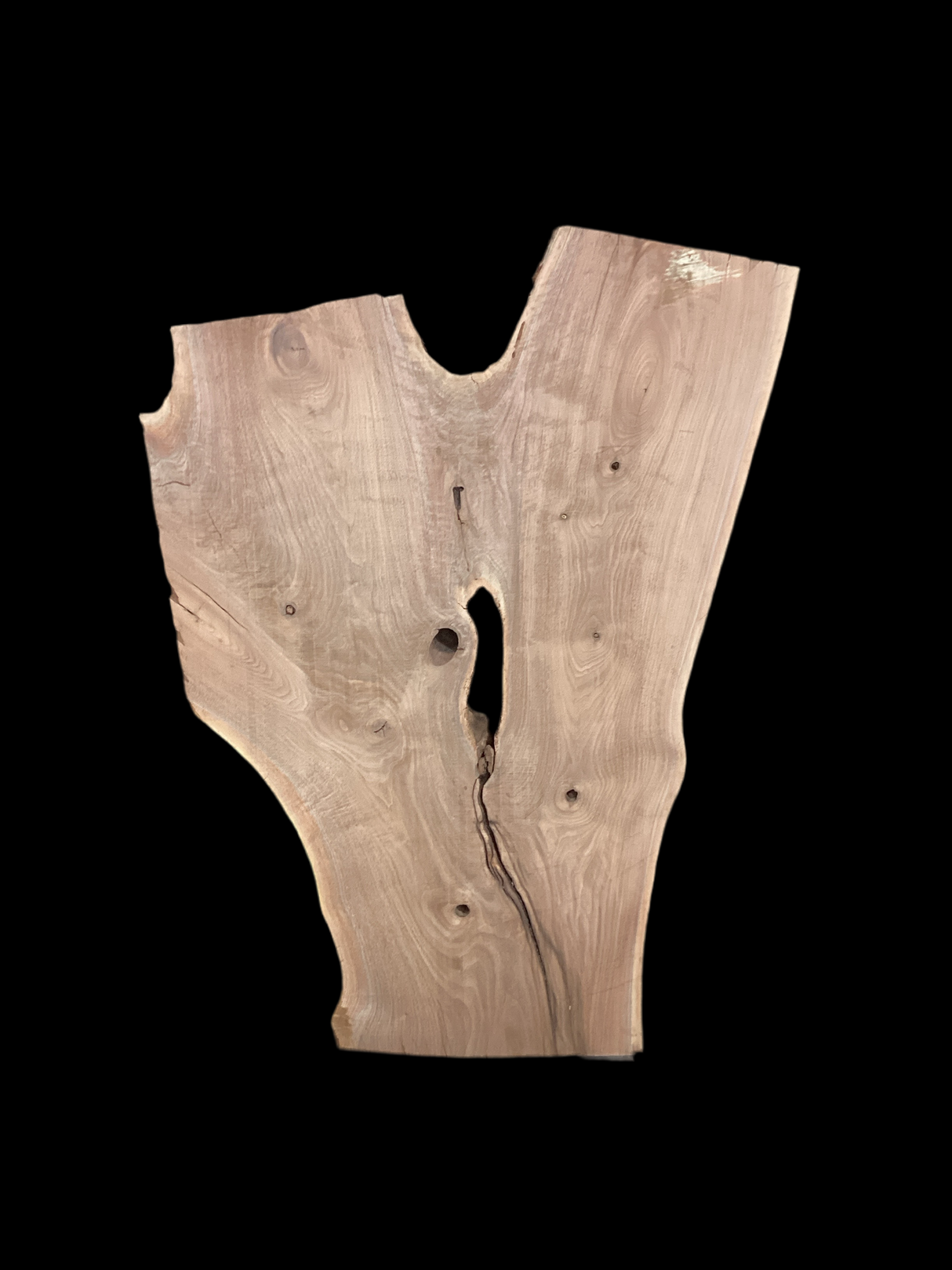 An irregularly shaped walnut slab with a distinctive striped figure pattern on a black background.