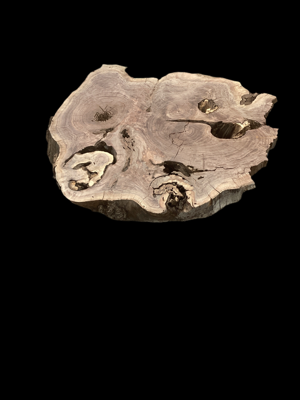 Irregular shaped walnut slab with many holes nestled into it.