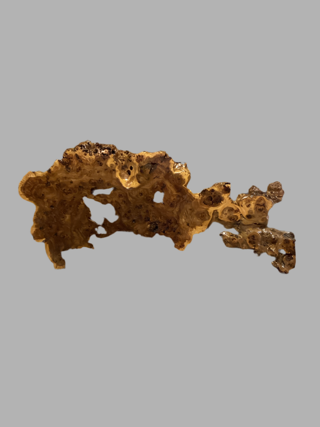 A sculpture of a golden elm burl, with a textured and irregular surface, displayed on a plain background.