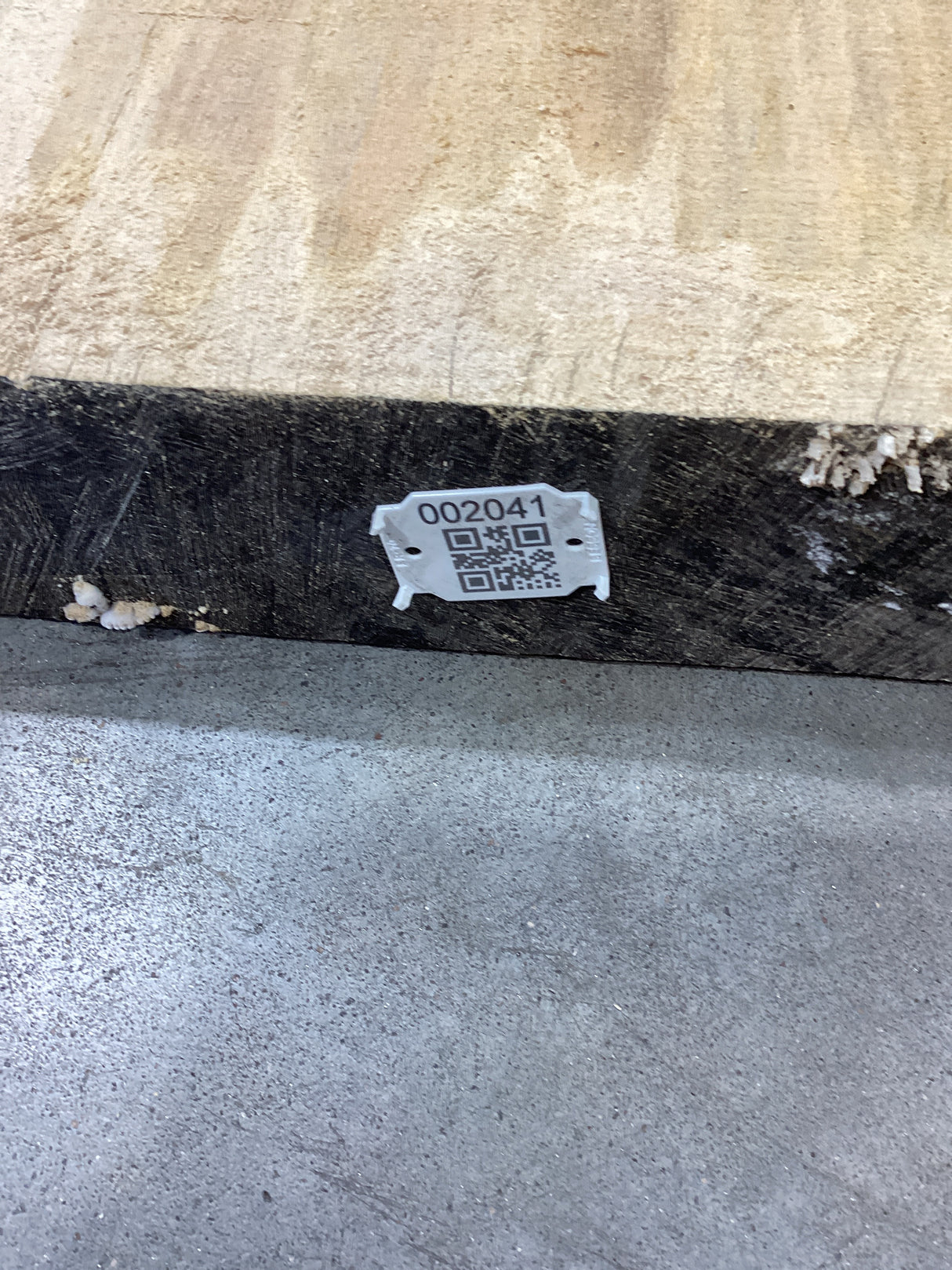 A Silver Maple wood slab edge with QR code attached.
