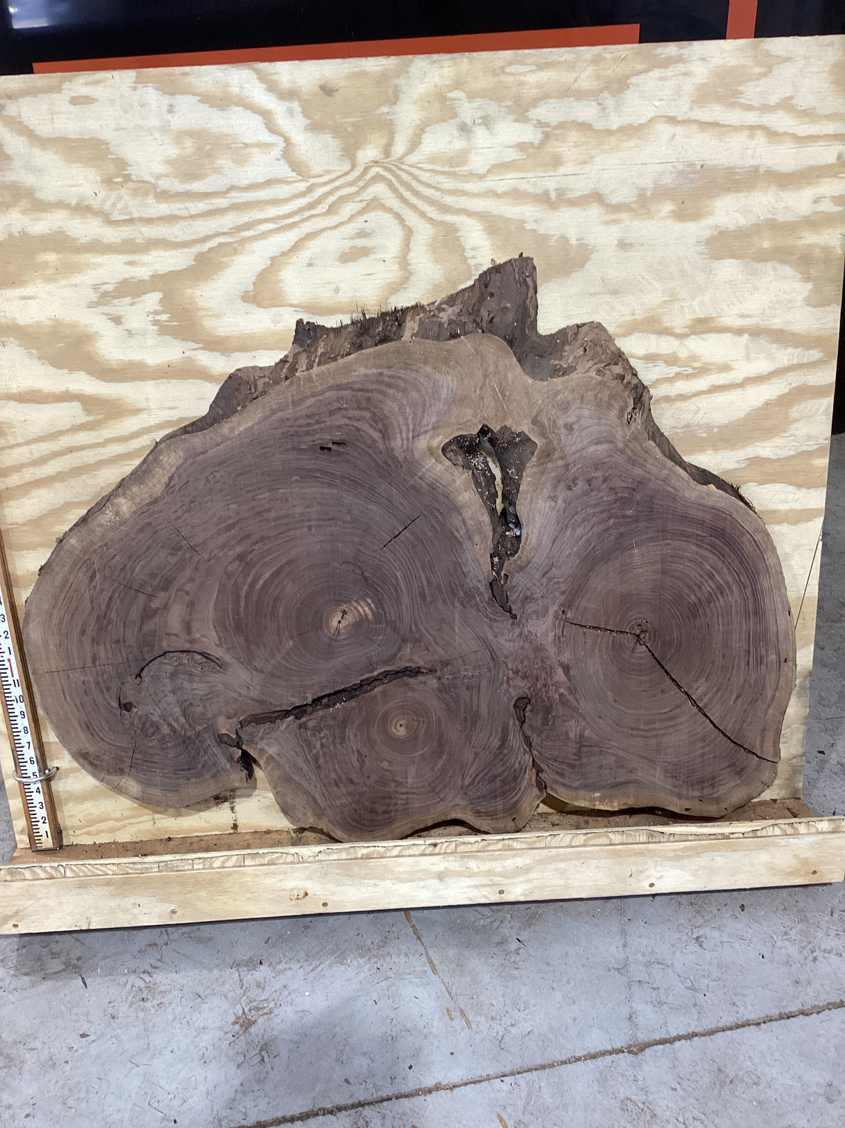 A unique, round walnut coffee table with three distinct heart-shaped centers, each displaying a different grain pattern. Positioned against a plywood background.