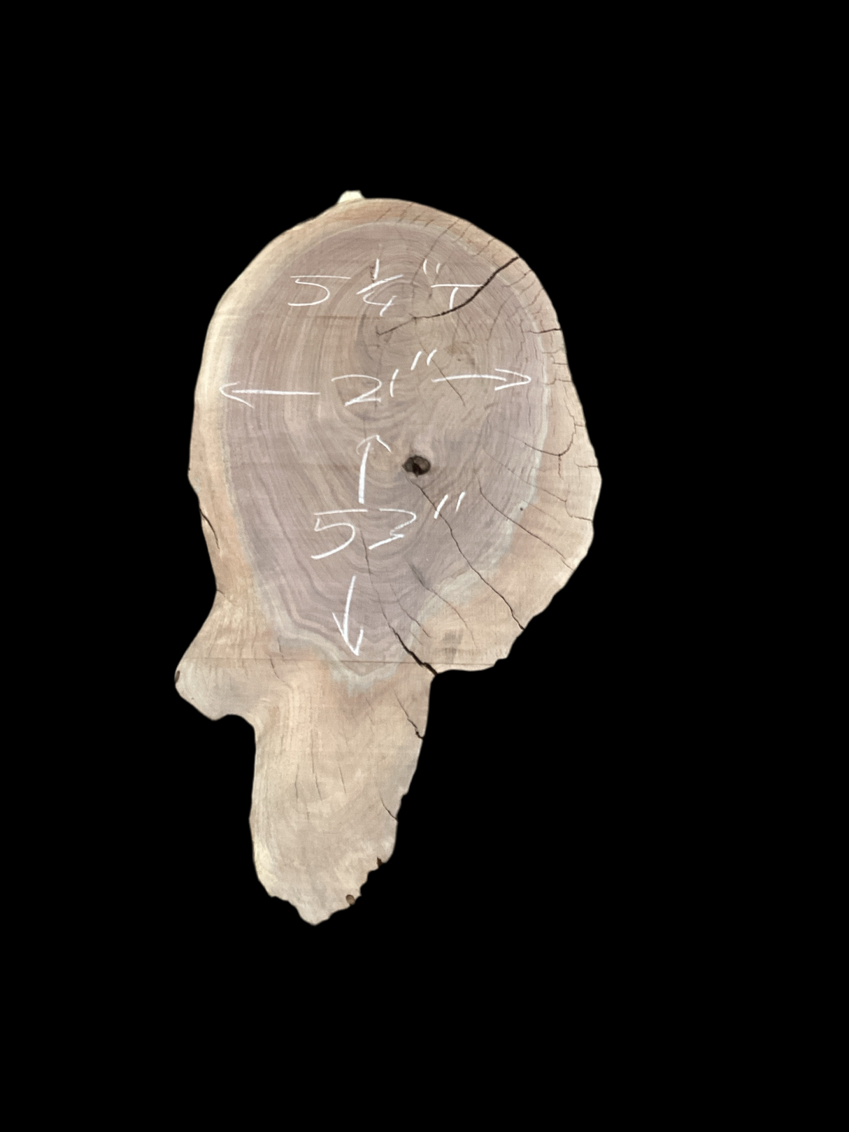 Irregular shaped walnut slab with a black background.