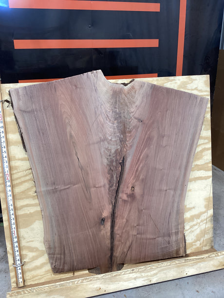 A walnut wood slab with a visible natural edge and a hole at the center, against a plywood background.