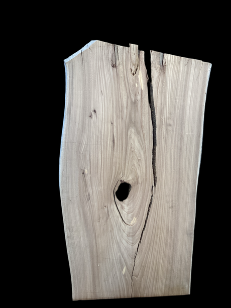A section of an American Elm wood slab with a natural brown color and a hole in the center, isolated on a black background.