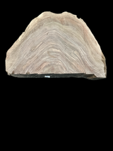 Irregular shaped walnut slab with a black background.