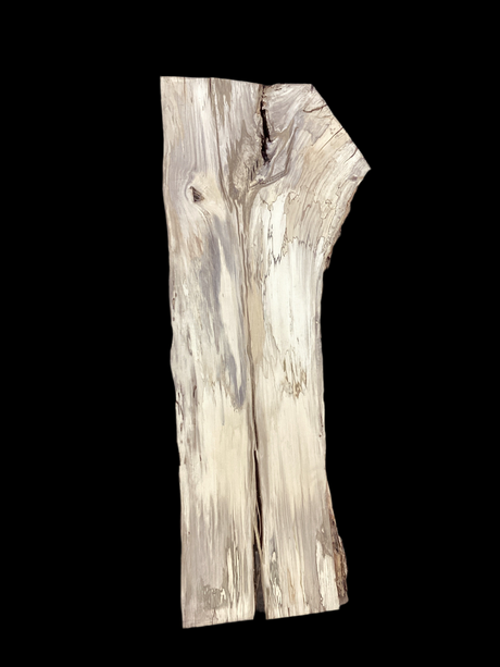 A Hackberry wood slab with a natural beige to light brown color and distinctive grain patterns, viewed from an angle that showcases its curved figure.