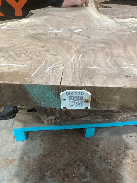 A rough, rectangular walnut slab placed on a blue support with visible natural wood grain and knots. There is a QR tag with a barcode on one end.