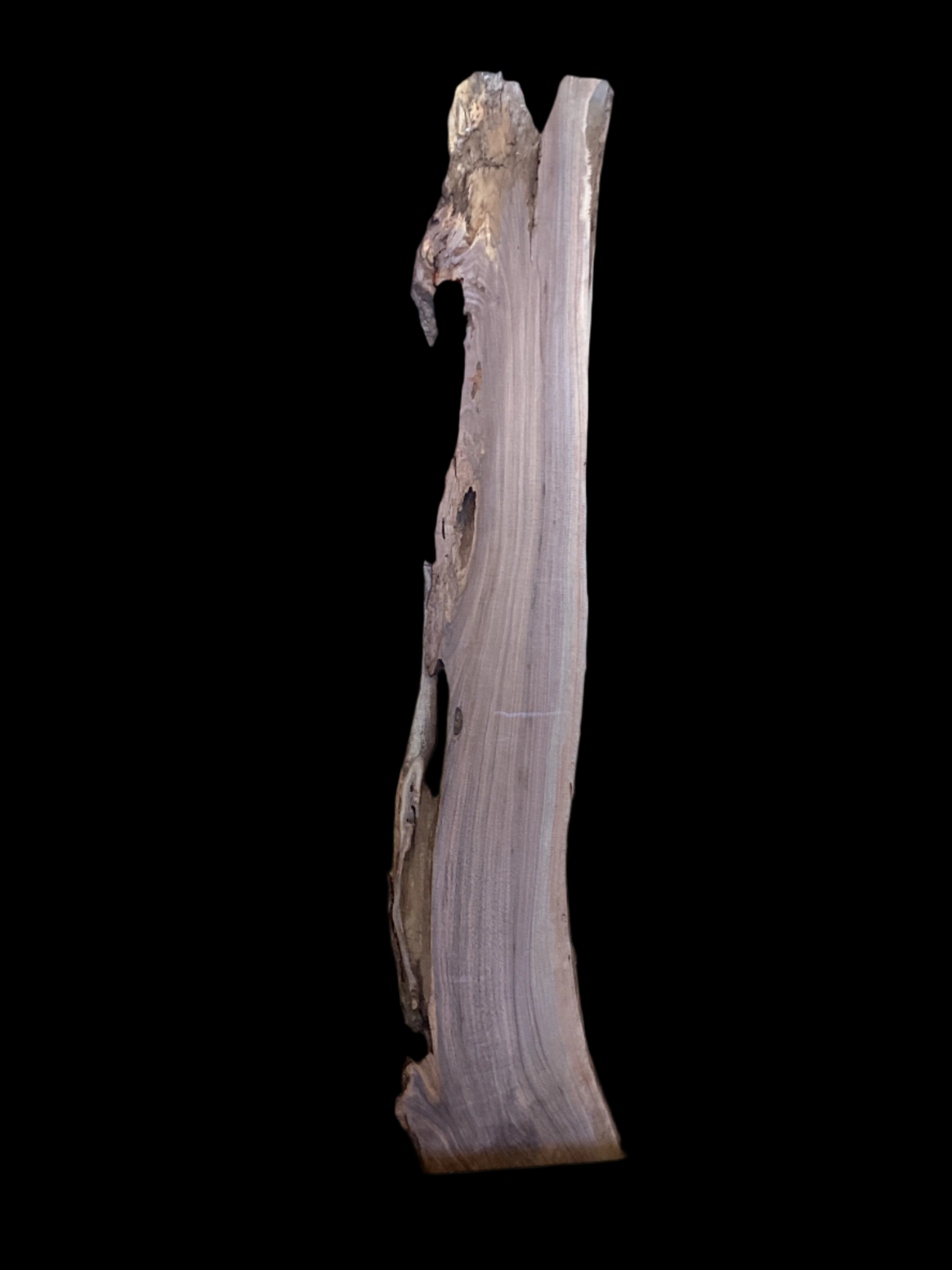 A walnut wood slab with a natural brown finish on a black background.