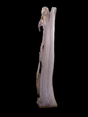 A walnut wood slab with a natural brown finish on a black background.