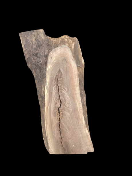 Large walnut wood slab with a black background.