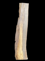 Walnut wood slab with layered structure on a black background