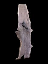 A walnut wood slab placed on a black background showing the length.