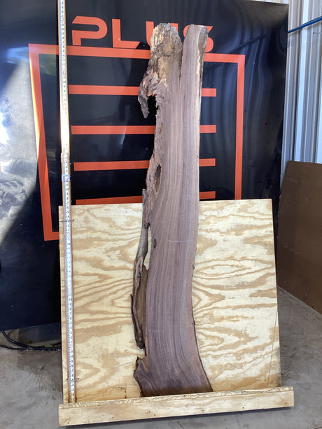 A walnut wood slab with a natural brown finish, displayed on a wooden structure with a black background.