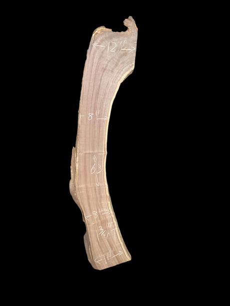 Large, curved walnut wood slab with a black background.