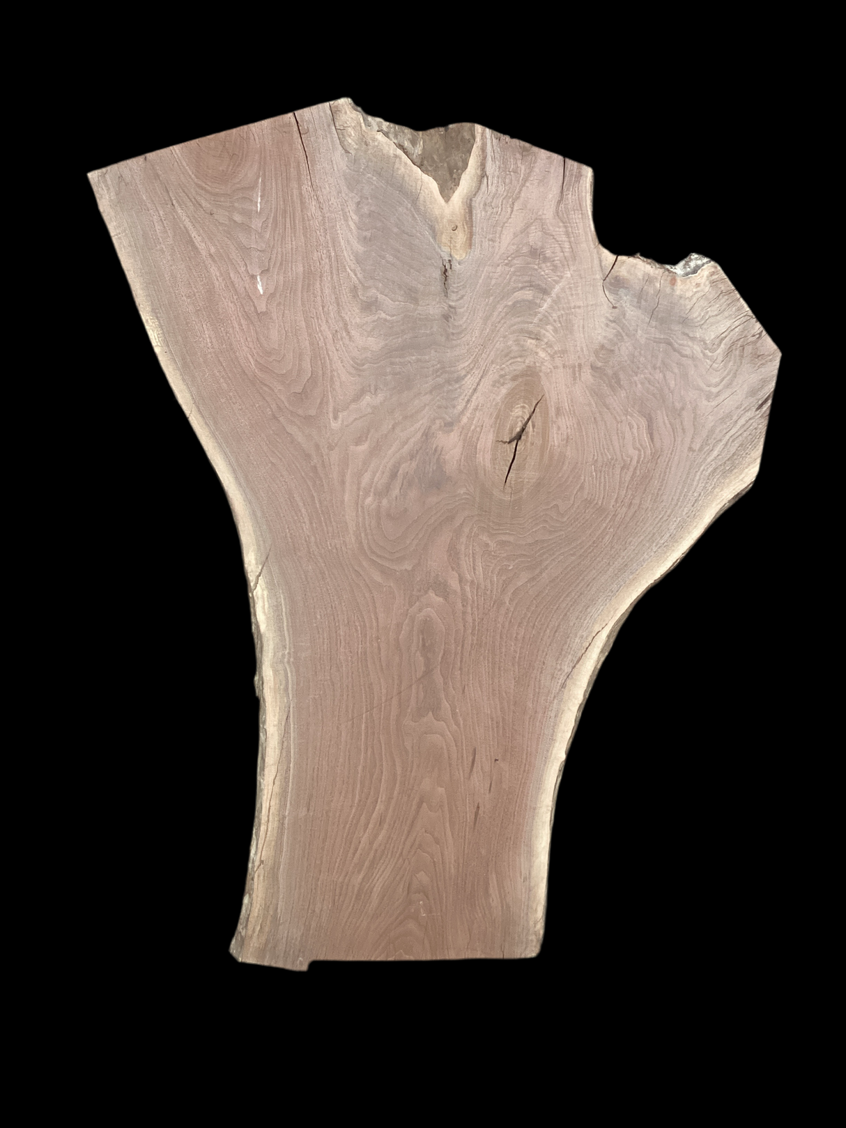 Walnut Slab 2196