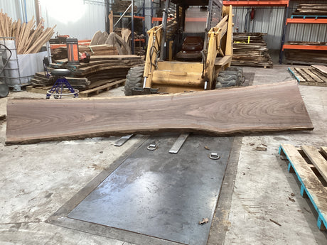 Large walnut wood slab propped on a forklift showing its length.