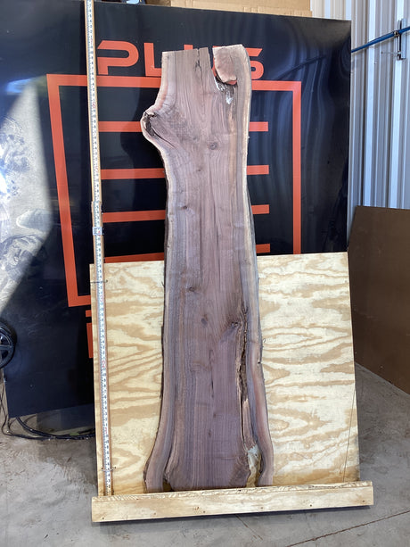 A walnut wood slab placed on a wooden platform, with a black background and a tape measure for scale.