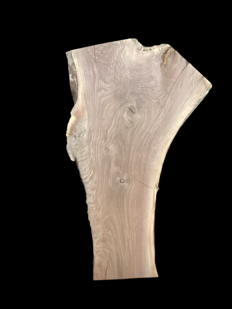 A short irregular shaped walnut slab with a black background. 
