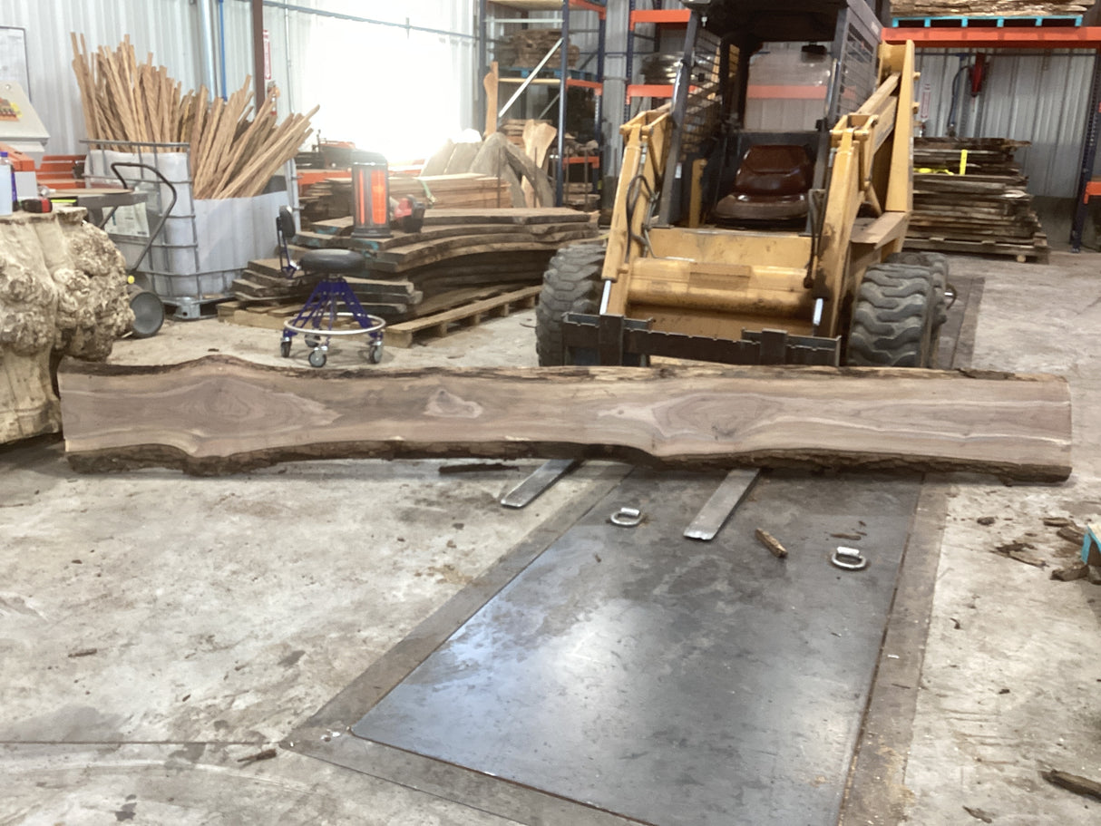 A walnut wood slab propped on a forklift showing its length.