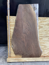 A walnut wood slab positioned against a plywood background, with a ruler for scale.