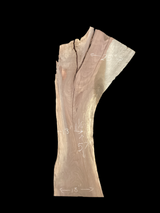 A short irregular shaped walnut slab with a black background. 