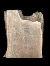 Walnut wood slab with on a black background.