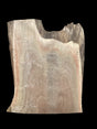 Walnut wood slab with on a black background.