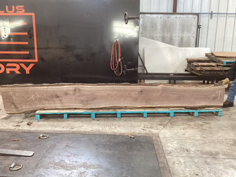 Large walnut wood slab propped on pallets with a man holding one side up.