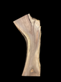 A short irregular shaped walnut slab with a black background. 