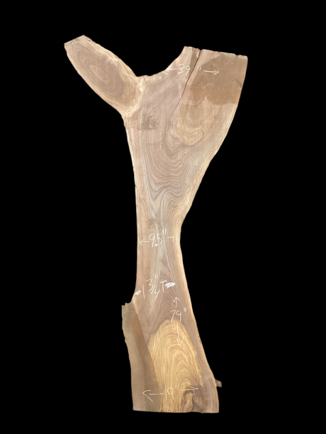 A irregular shaped walnut slab with a black background. 