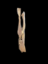 A walnut wood slab with a natural grain and unique river design on a black background.