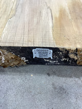 QR label attached to the edge of a silver maple slab.
