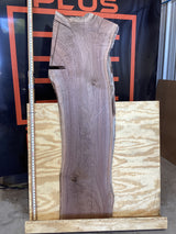 A walnut wood slab placed on a wooden stand against a plywood background showing the length.