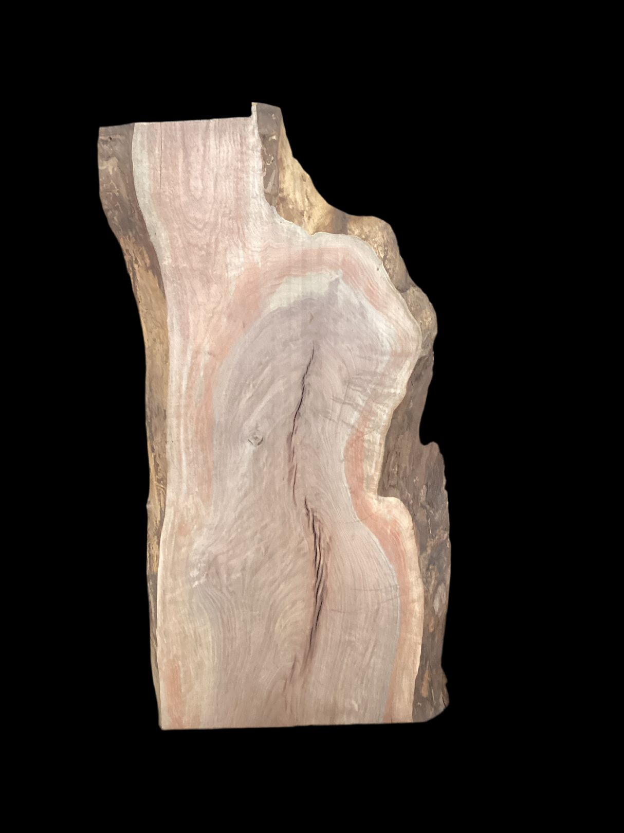 A short walnut slab with a black background.