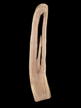 A long walnut slab, with a long hole running down the middle, and on a black background. 