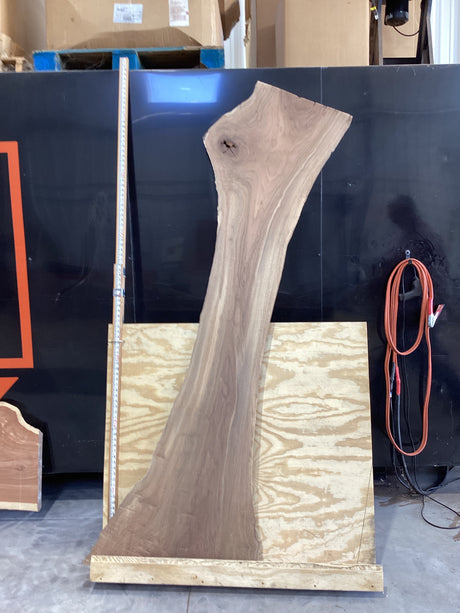 A long thick walnut slab with a plywood background showing its length.