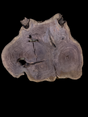 Round walnut wood slab on a black background.