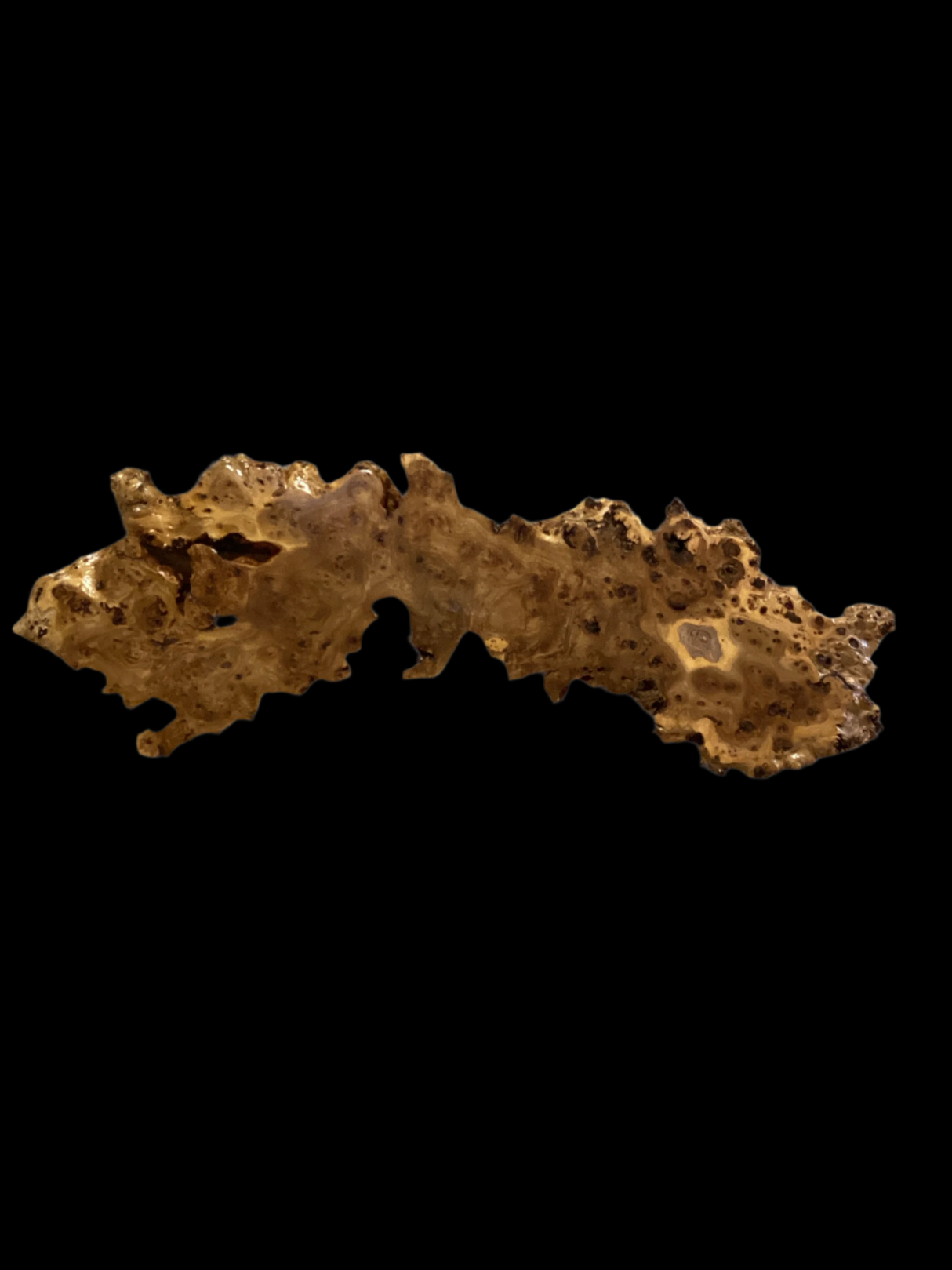 A piece of Siberian Elm Burl wood with a golden-brown color, irregular in shape, against a black background.