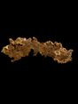 A piece of Siberian Elm Burl wood with a golden-brown color, irregular in shape, against a black background.
