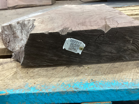 A walnut slab with a visible label on it, placed on a wooden surface with blue and green markings.