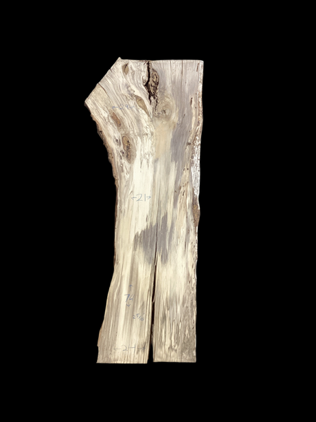 A Hackberry wood slab with a natural beige to light brown color and distinctive grain patterns, viewed from an angle that showcases its curved figure.